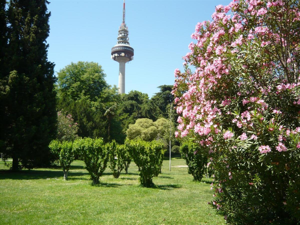 Bright Steps From Plaza De Toros And Wizink Center * Madrid
